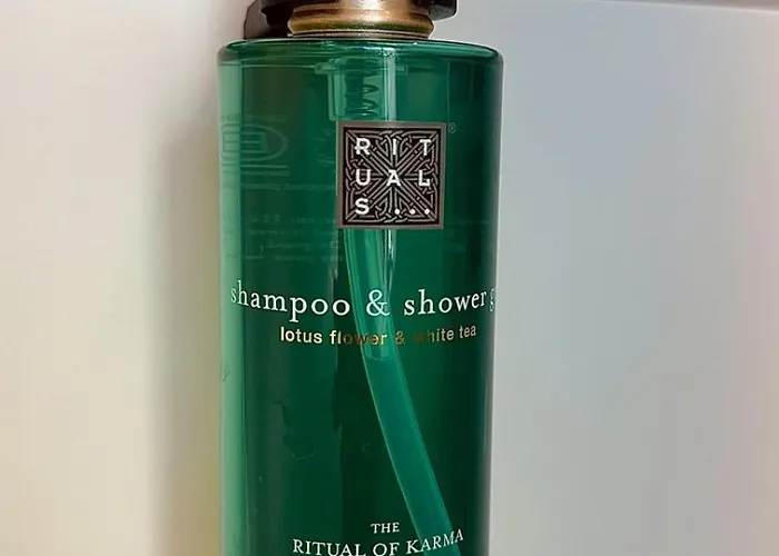 Koeln Bonn Delux Burgblick *